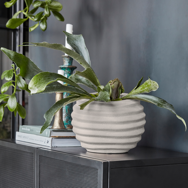 Blumentopf Happ in Off-White Klein - House Doctor