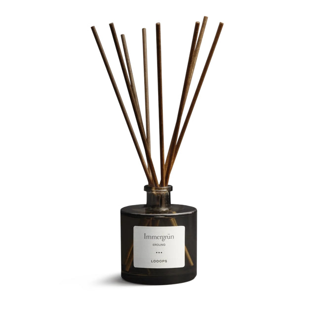 Raumduft Diffuser mit Stäbchen Immergrün - Looops