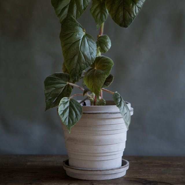 Blumentopf Planet 21 cm - Bergs Potter