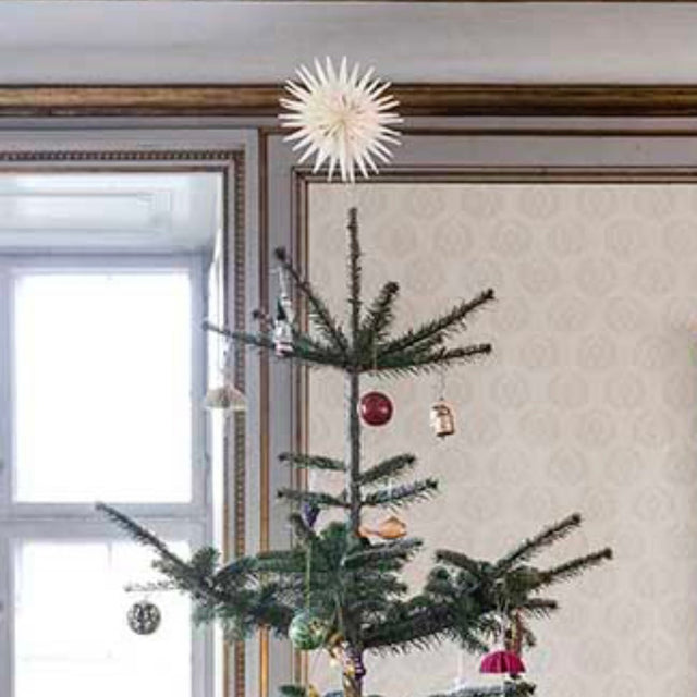 Christbaumspitze Paper Star Polaris - Bungalow - DesignWe.Love