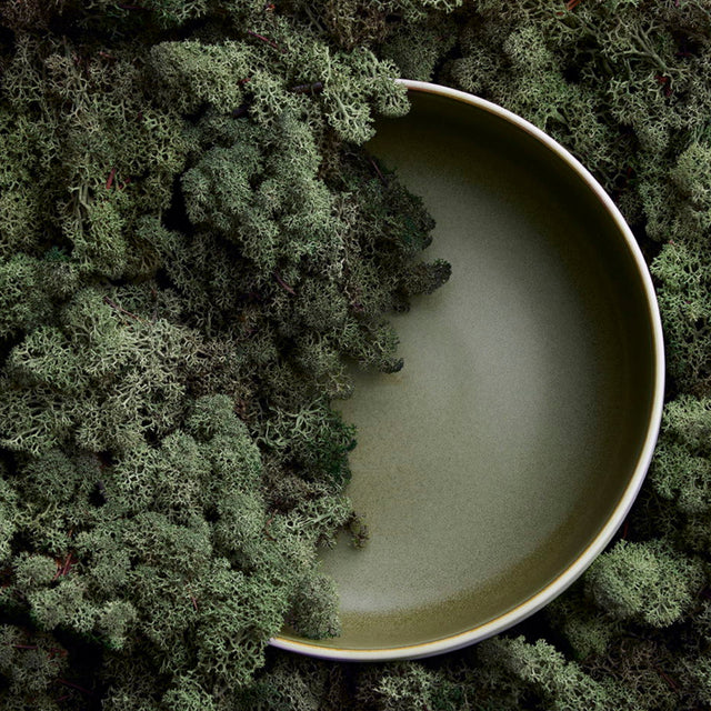 Salatschüssel Ø 25 cm Matte White/Matte Moss - Studio Round North