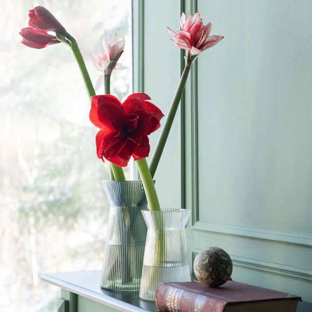 Noomi Vase aus Riffelglas mit Schnittblumen