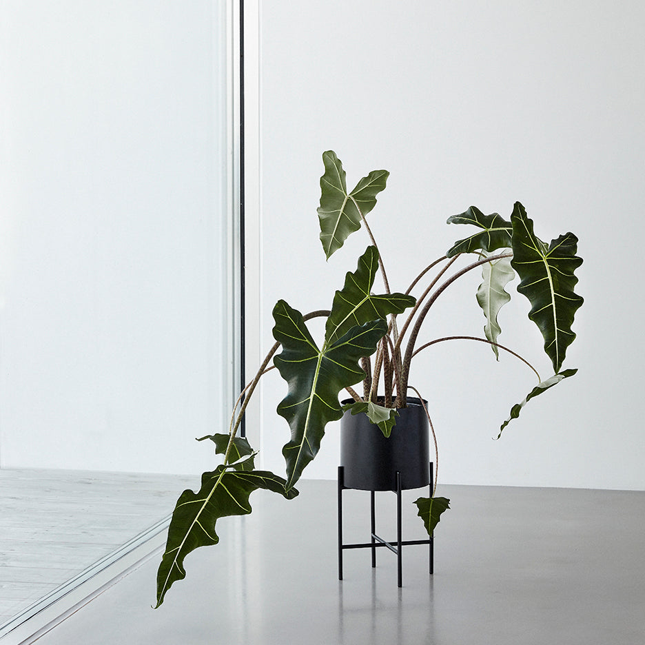 Blumentopf mit Gestell