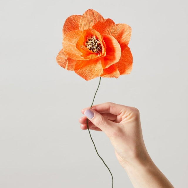 Papierblume Paper Flower - Studio About