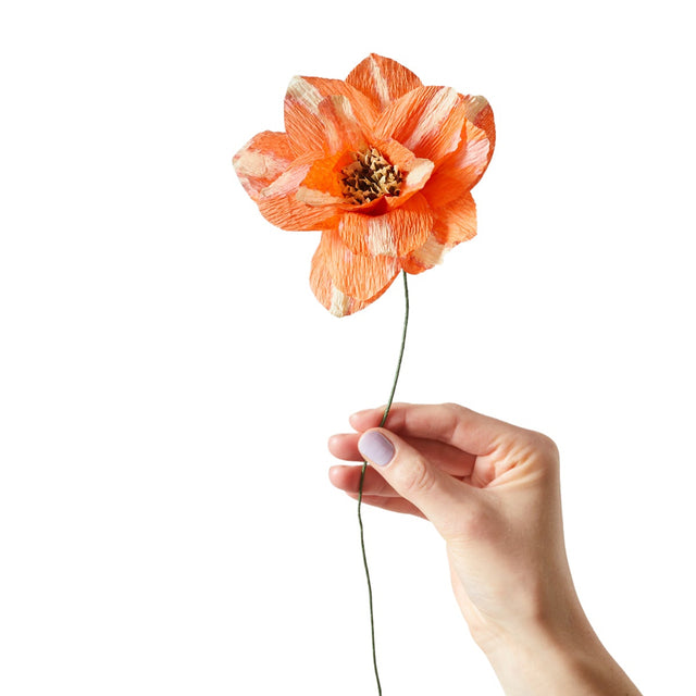 Papierblume Paper Flower - Studio About