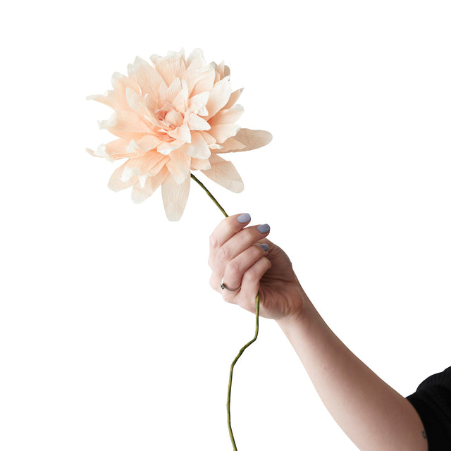 Papierblume Paper Flower - Studio About