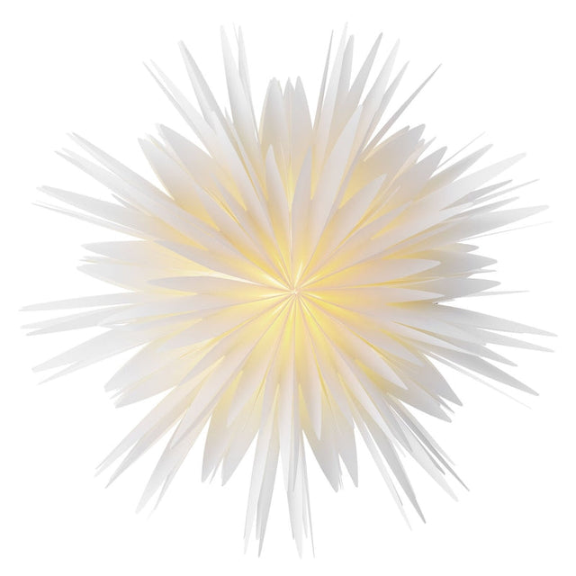 Weihnachststern Phoenix - Bungalow DK Paper Star