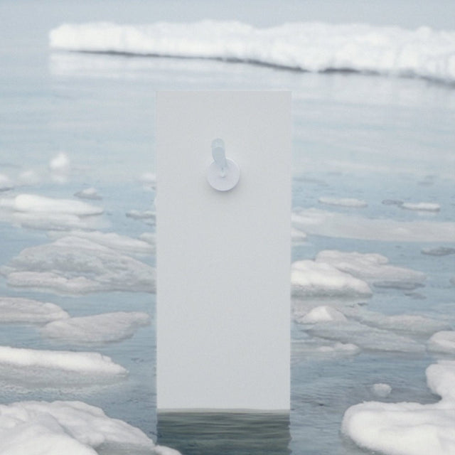 Birdie 2.0 Luftqualitätssensor Glacier im Wohnraum