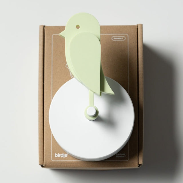 Birdie 2.0 Luftüberwacher Meadow - Luftqualitätssensor - DesignWe.Love