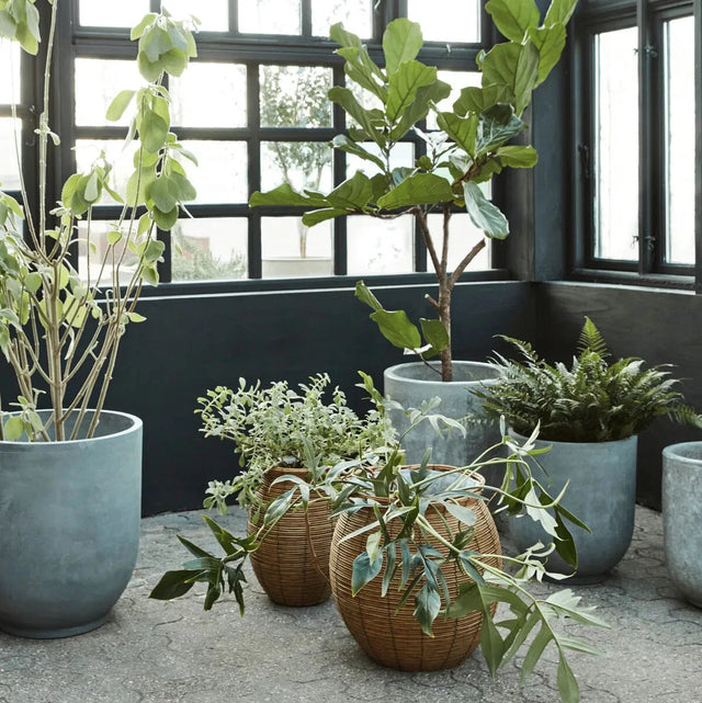 Boum Blumentopf-Set Natur - House Doctor