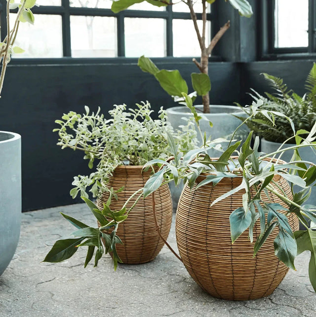 Boum Blumentopf-Set Natur - House Doctor