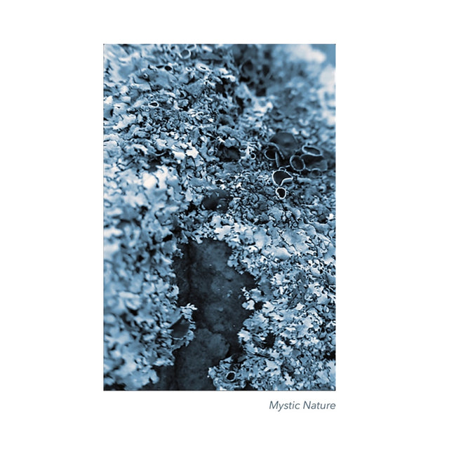 Kunstdruck 'Mystic Nature 01' Poster 40x60 - IH & KL Design Studio