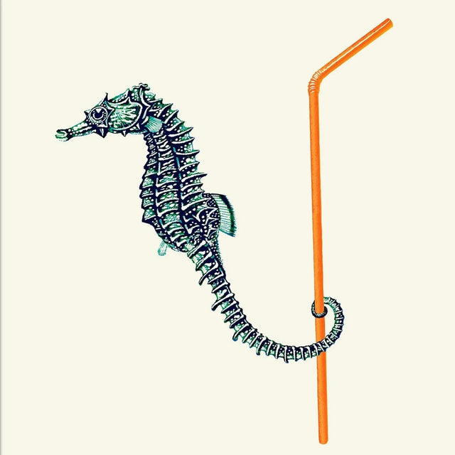 Seahorse and Straw 30x40 Poster Kunstdruck - The Dybdahl Co
