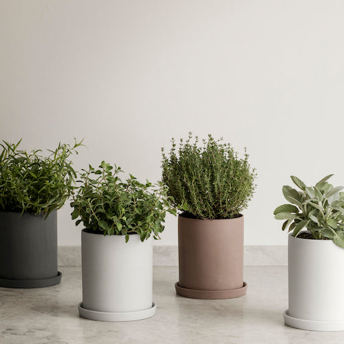 Kräutertopf Nona Bark M - Blomus