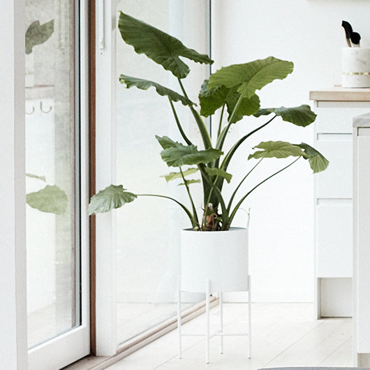 Blumentopf mit Gestell