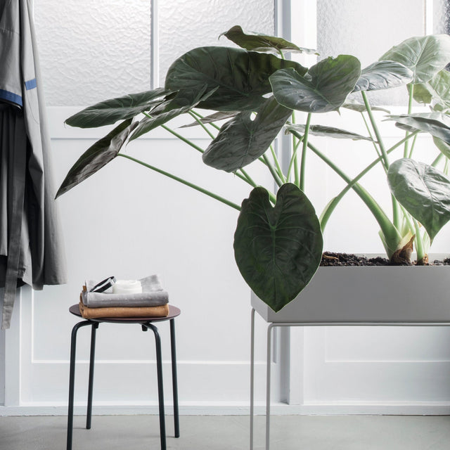 Plant Box hellgrau - ferm LIVING