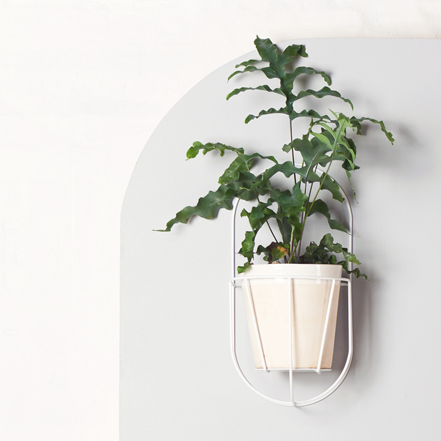 Plant holder Cibele Wall