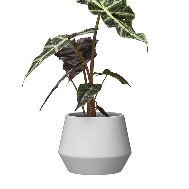Planter Dima large - flower pot