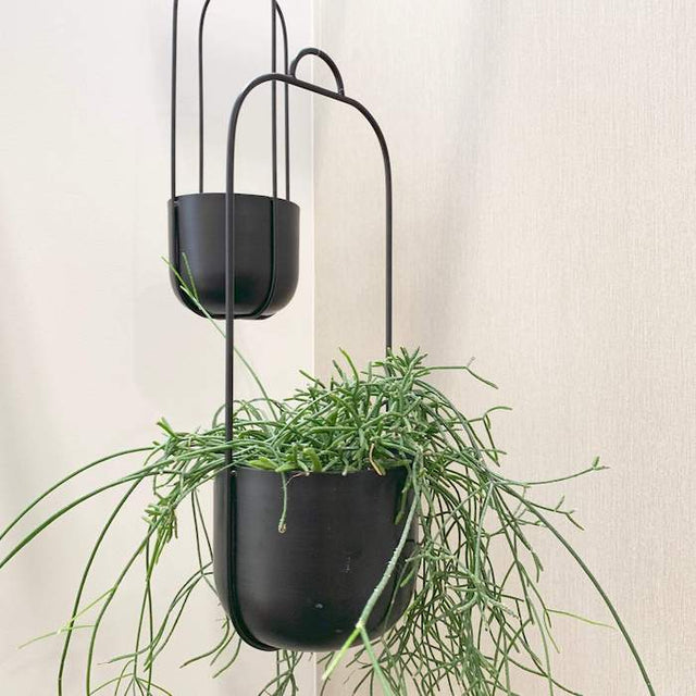 Lotus hanging basket set made of metal